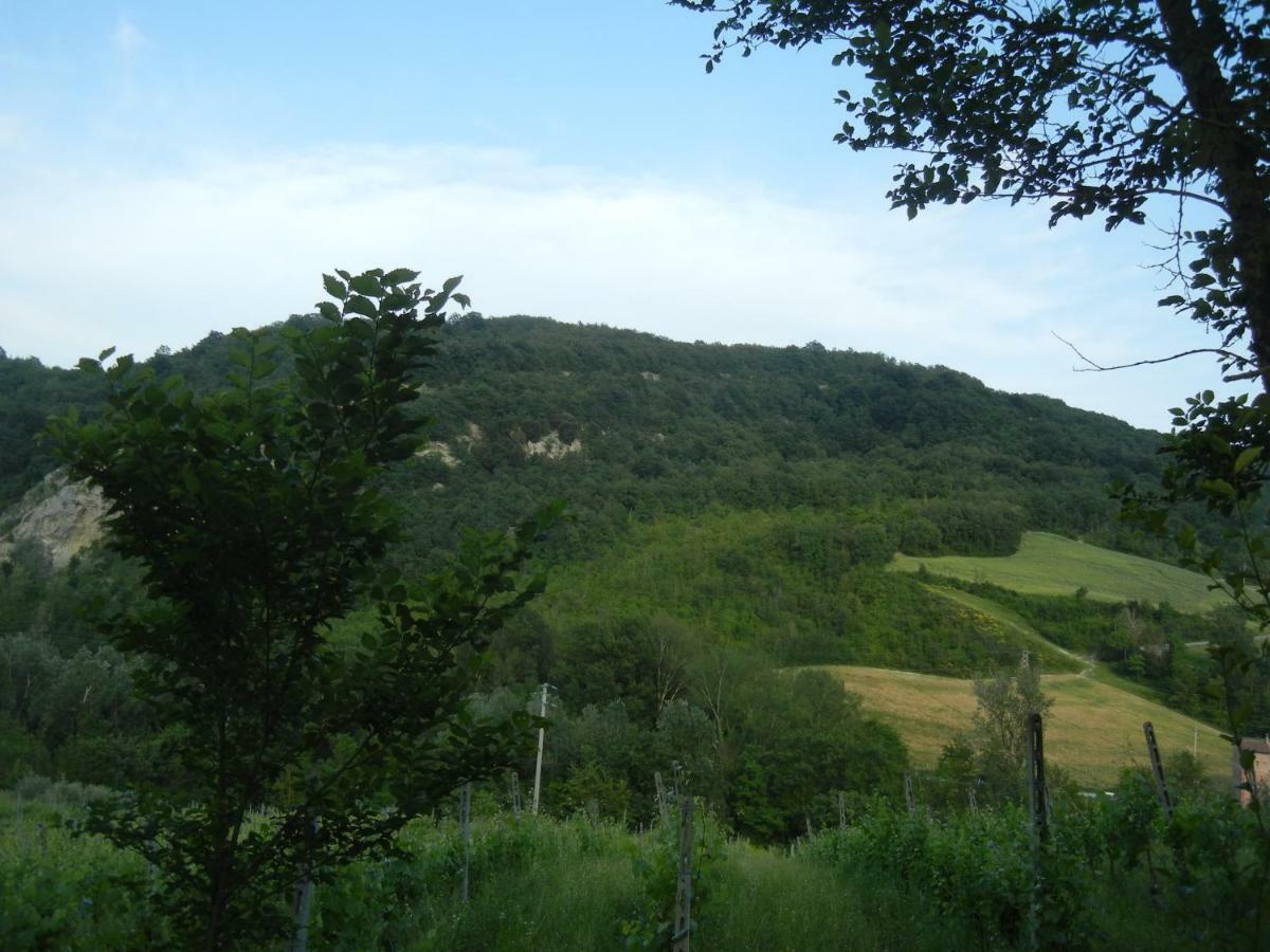 La Colombarola Agriturismo Farneto Экстерьер фото